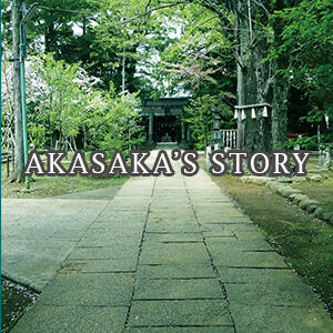 storyイメージ