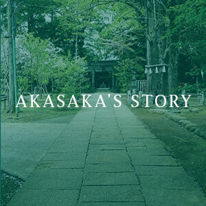 storyイメージ