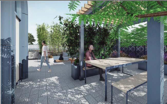 Roof terrace image