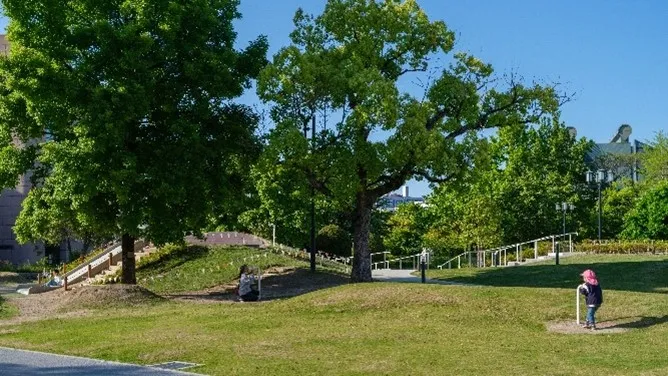 Large Roof Plaza