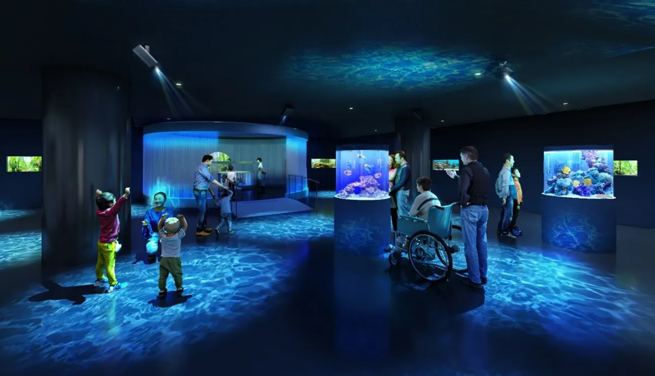 Image of "Stage for Diversity"