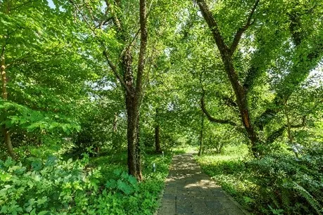 敷地内の「みんなの森」