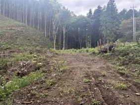 "Ecologii no Mori 2" where forest conservation activities will be carried out (The forest conservation area is the flat area at the bottom of the photo)