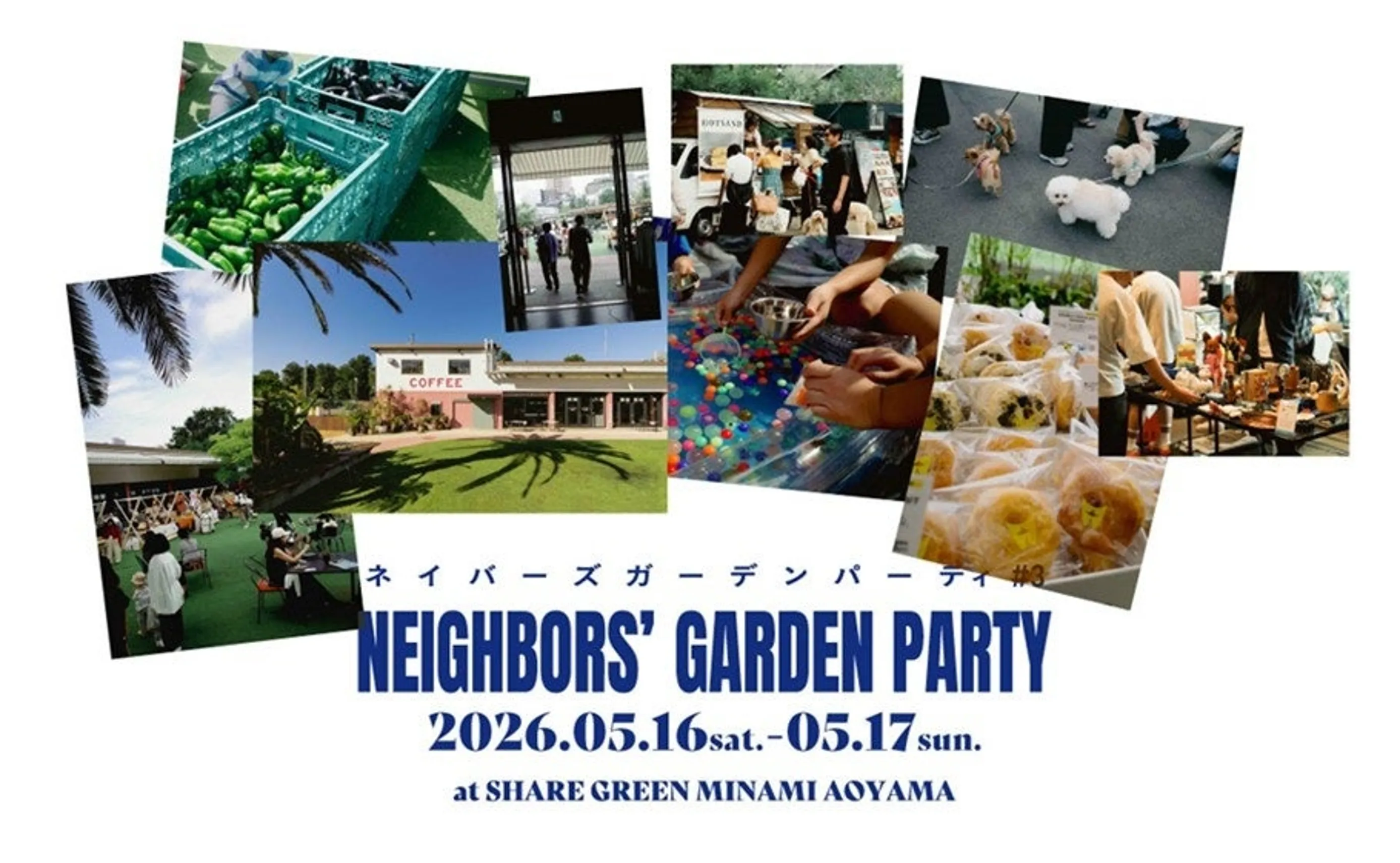 NEIGHBORS’ GARDEN PARTY #3