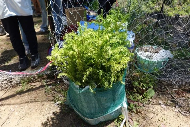 「企業の森「エコロじいの森2 梅郷」森林保全活動　植樹イベントの実施について